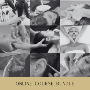 Online Course Bundle