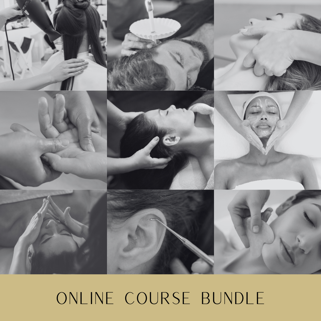 Online Course Bundle