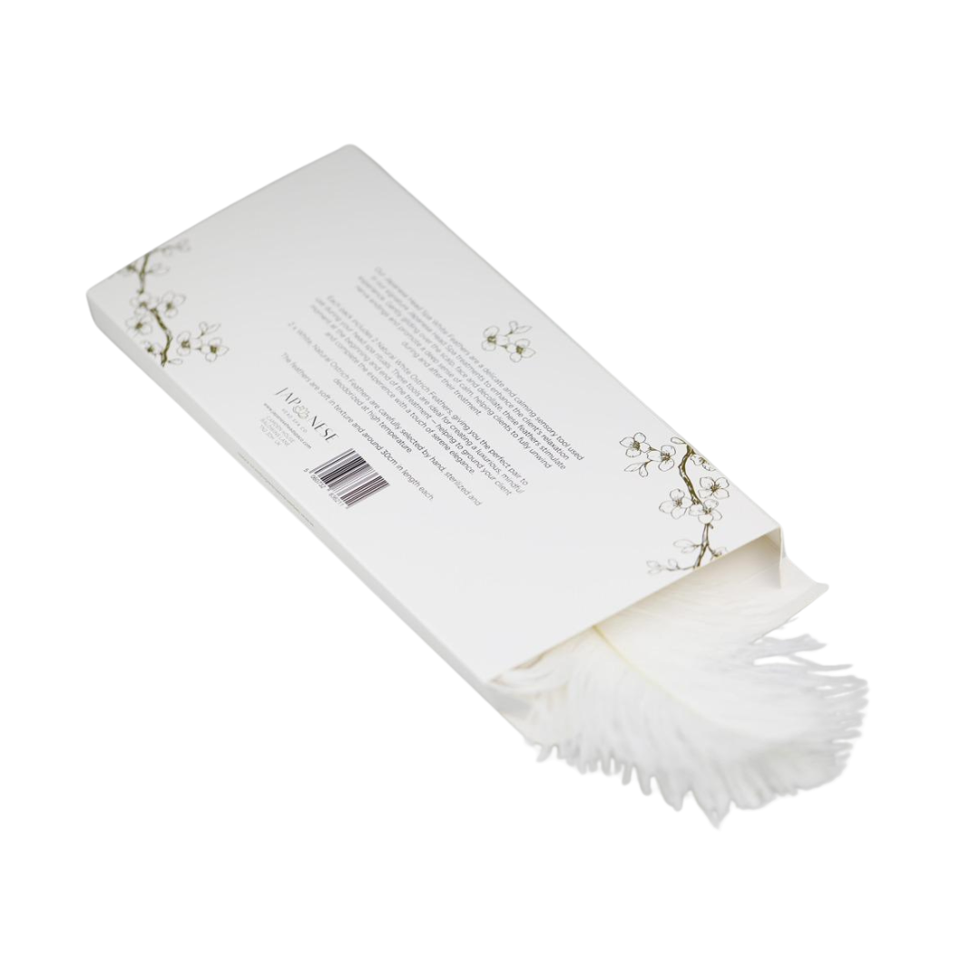 ostrich-feathers-2.png Real Natural White Ostrich Feathers (Pack of 2)