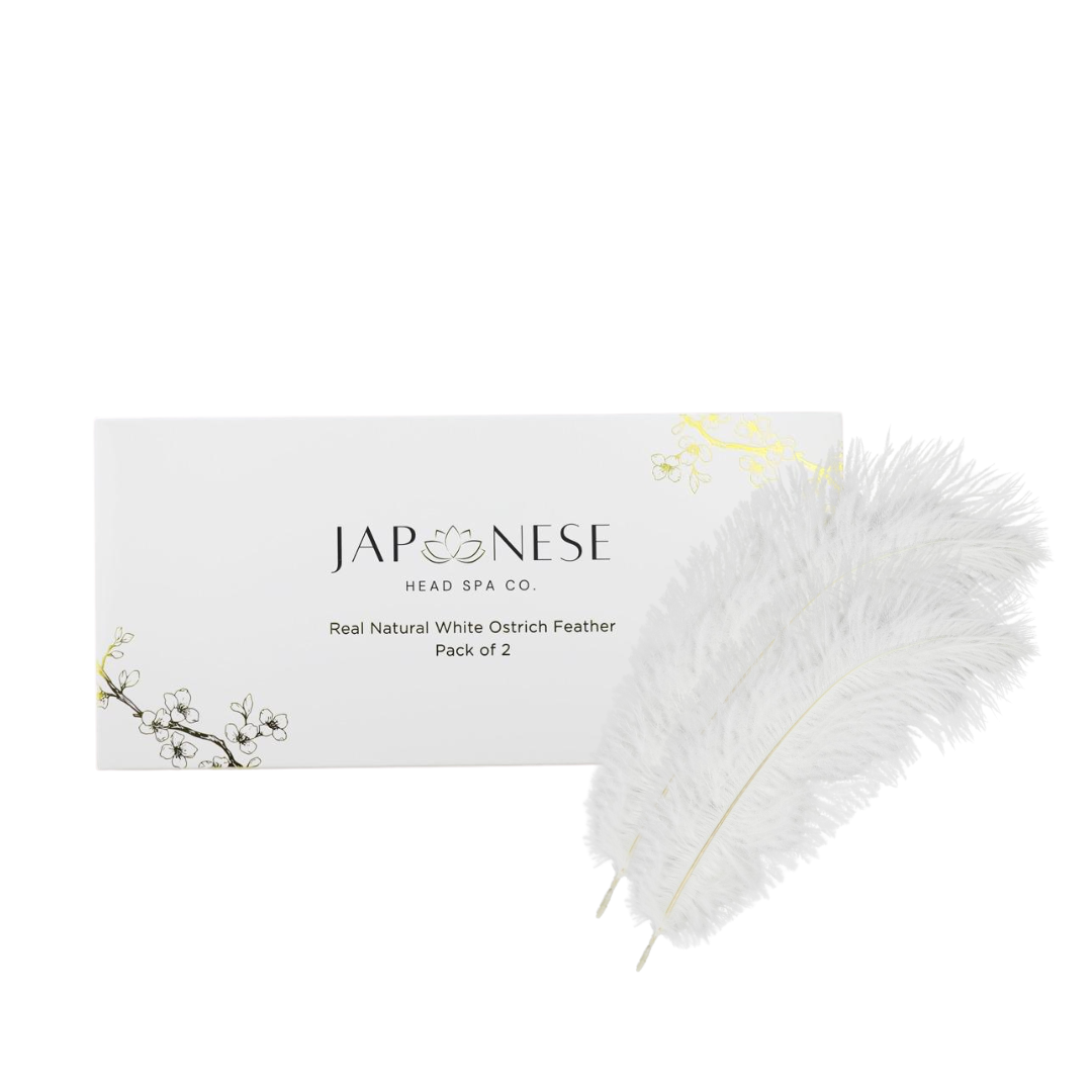 ostrich-feathers.png Tool Starter Pack (14 Items)