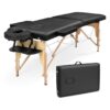 Portable 2-Zone Folding Massage Table